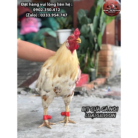 Bịt Cựa Gà Nòi Silicon Thái Lan