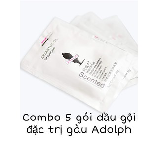 Combo 5 gói dầu gội sạch gàu ADOLPH chính hãng