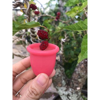 CỐC NGUYỆT SAN SIBELL PHÁP NHẬP KHẨU CHÍNH HÃNG