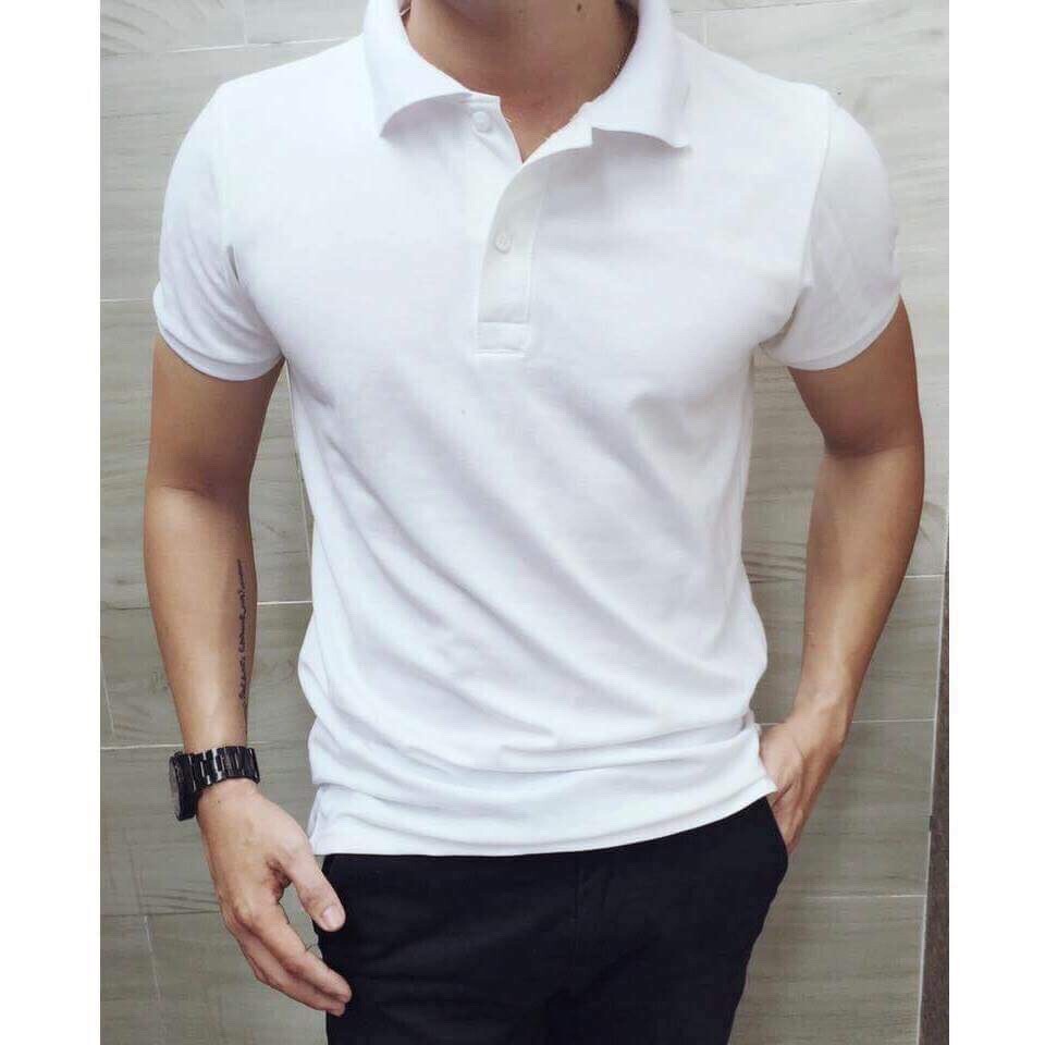 Áo Polo Nam Trơn BASIC TAHISTYLE - Áo Thun Nam Cotton cá sấu cổ bẻ tay ngắn loại tốt cao cấp | BigBuy360 - bigbuy360.vn