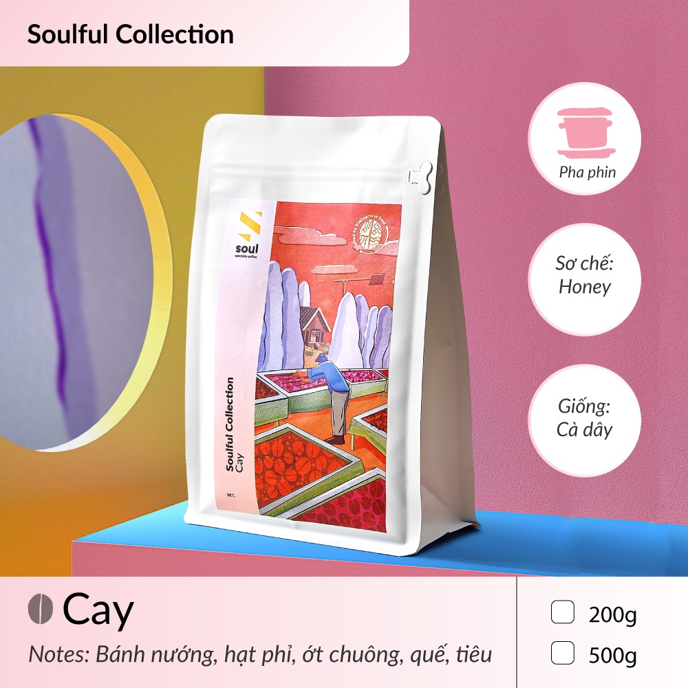 CÀ PHÊ ĐẶC SẢN - CAY - PHA PHIN | BỘ SƯU TẬP MÙA VỤ