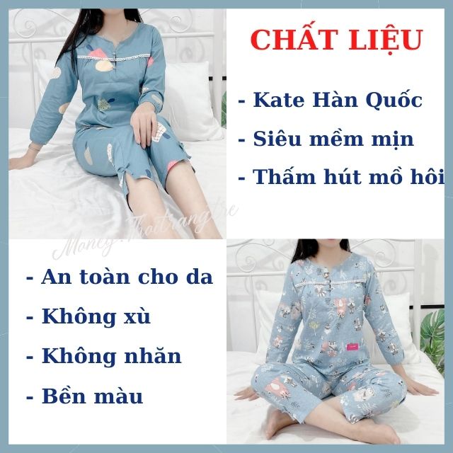 Đồ Bộ Mặc Nhà Nữ Thun Cotton 35% Dài Tay, Bộ Đồ Ngủ Mặc Sau Sinh Ở Nhà Vải Kate Hàn Quốc Thoáng Mát, Mềm Mịn Nhiều Size