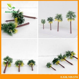 Mô Hình Cây Cọ Trang Trí Tiểu Cảnh