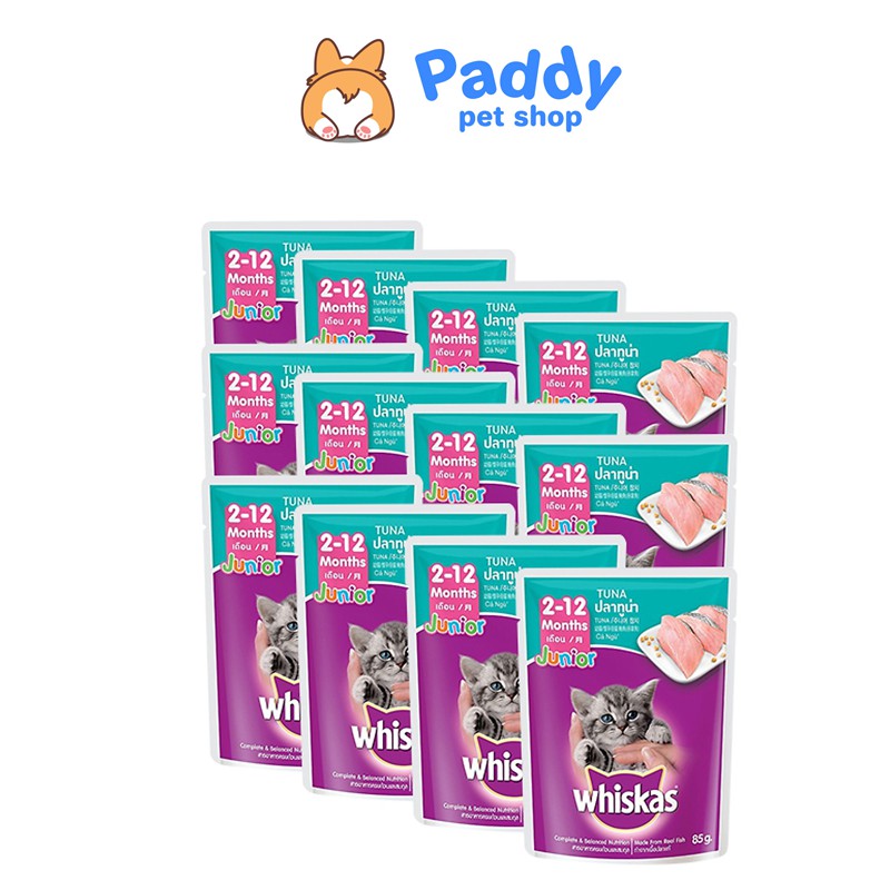 Combo Pate Whiskas Cho Mèo Con Vị Cá Ngừ 85g