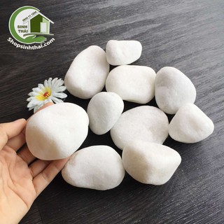 1kg đá sỏi trắng viên lớn, cỡ đại trang trí sân vườn, bể cá, chậu cây, chặn giấy trên bàn