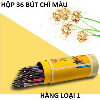 BÚT CHÌ MÀU HÃNG PENSING 36 CÂY cho bé