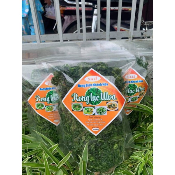 RONG LỤC ULVA Khánh Hòa sấy lạnh đóng gói 500g luôn mới mỗi ngày