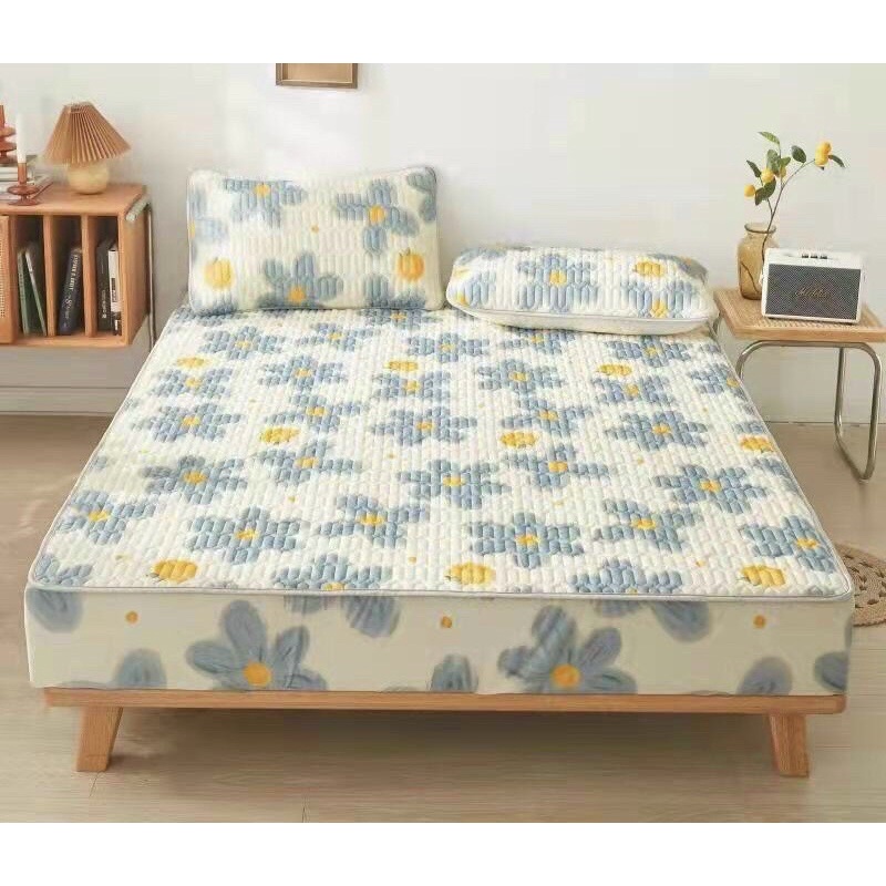 Chiếu điều hòa cao su non latex, chiếu cao su non bo chun bọc đệm cao đến 30cm tặng kèm 2 vỏ gối cùng mầu