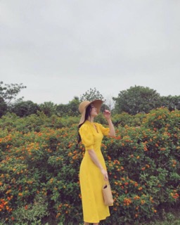 Đầm cổ tàu tay phồng