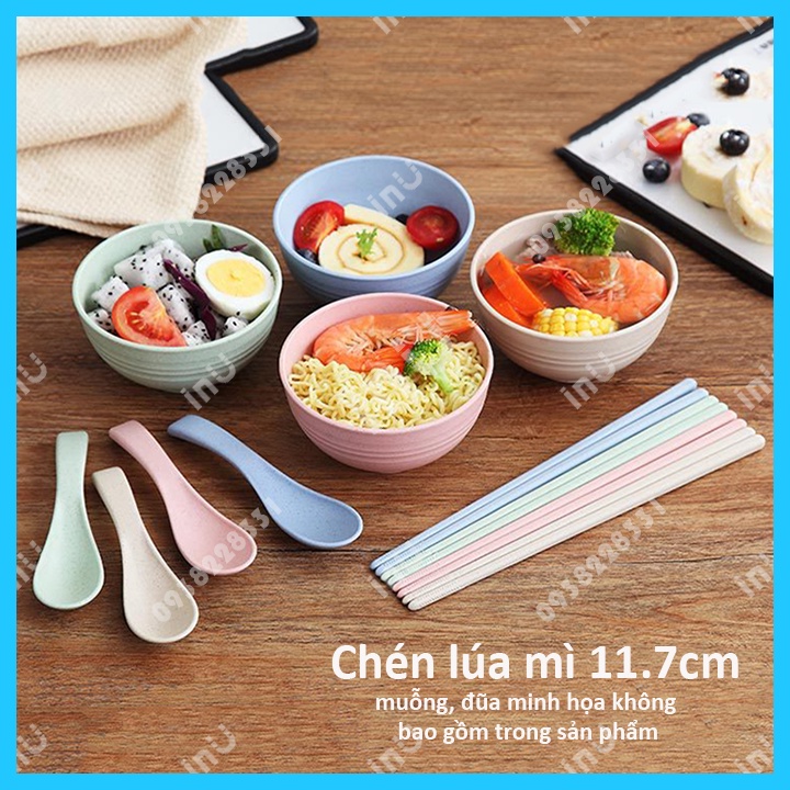 HCM - Tô lúa mì 15cm kiểu Nhật thân thiện môi trường