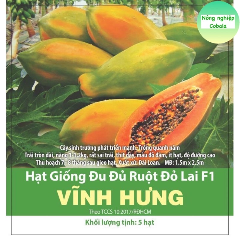Hạt Giống Đu Đủ Ruột Đỏ Thơm Ngọt, Năng Suất Cao 5 Hạt