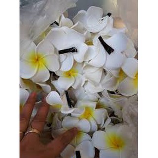 Hoa đại cài tóc siêu xinh