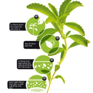 Đường cỏ ngọt stevia dạng gói