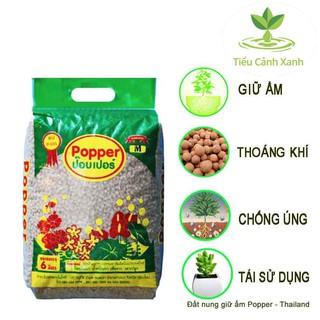 Đất nung trồng cây size s