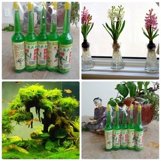 [FreeShip] Dung Dịch Thủy Canh 38ml chuyên dùng cho cây trồng thủy sinh hoa cây cảnh bể cá