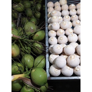 Dừa Xiêm Bến Tre