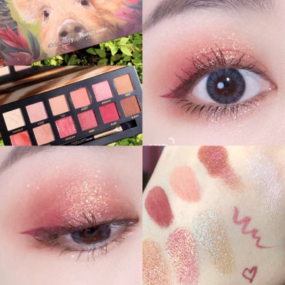 Perfect Diary 2020 Animal Eyeshadow Palette Makeup 12 color eyeshadows