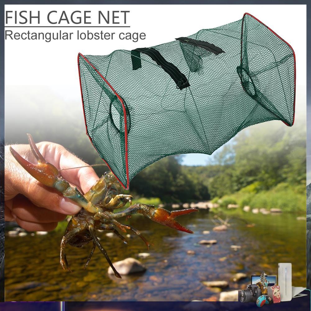 Lồng Lưới Bắt Cá Tôm/Tôm Chuyên Dụng