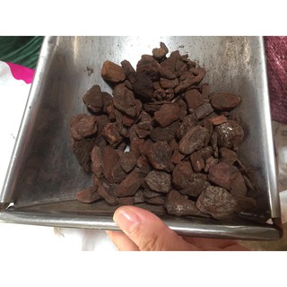 1 KG Vỏ thông nhập Orchiata Newzealand, chất lượng châu Âu size 9-12mm
