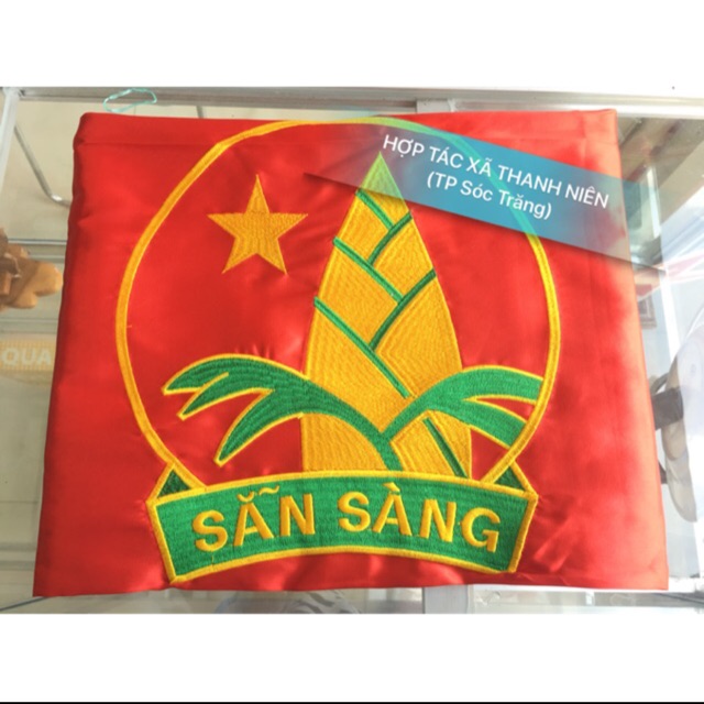 Cờ Đội TNTP Hồ Chí Minh