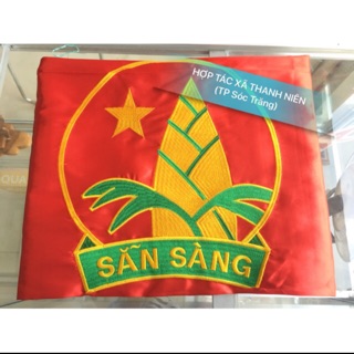 Cờ Đội TNTP Hồ Chí Minh