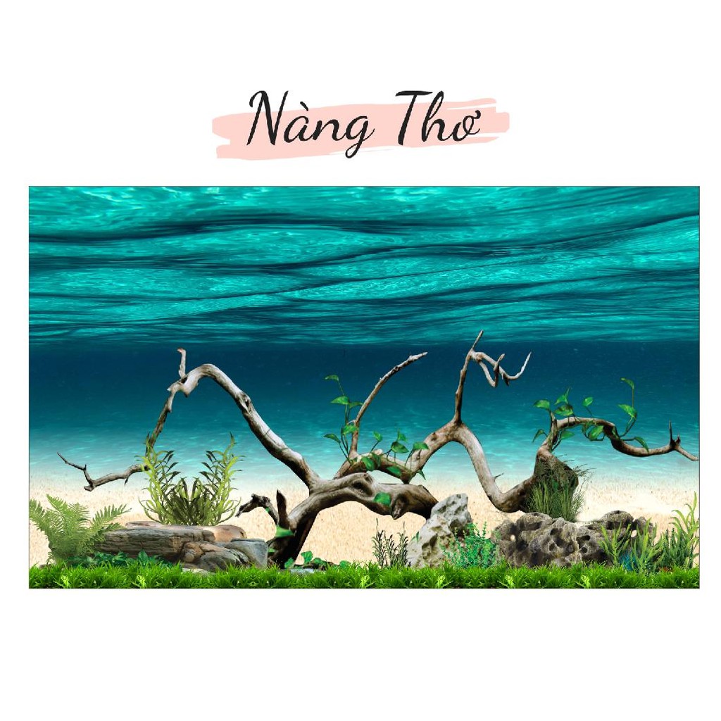 DECAL HỒ CÁ CÂY THUỶ SINH 3D_THIẾT KẾ NÀNG THƠ