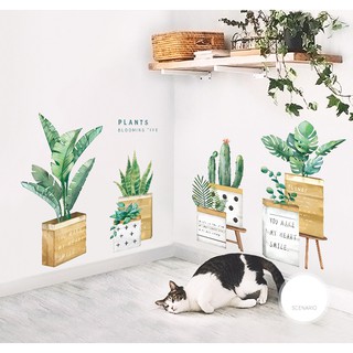 Decal dán tường chậu cây hộp