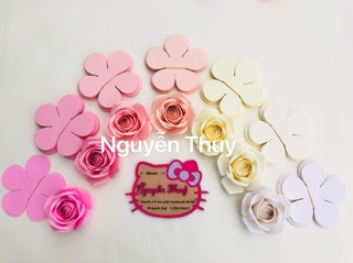 Set cánh hoa cắt sẵn
