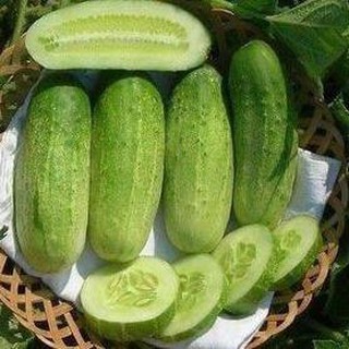 [Siêu khuyến mại] 60H - HẠT GIỐNG DƯA CHUỘT NẾP BÉO THÁI LAN