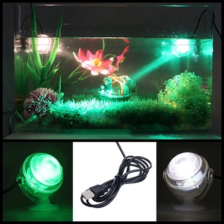 Đèn LED chiếu điểm đặt dưới nước chuẩn phích cắm EU cho bể cá