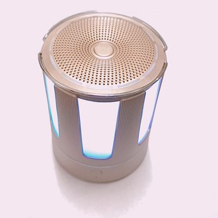 Loa Bluetooth Golden Field B16