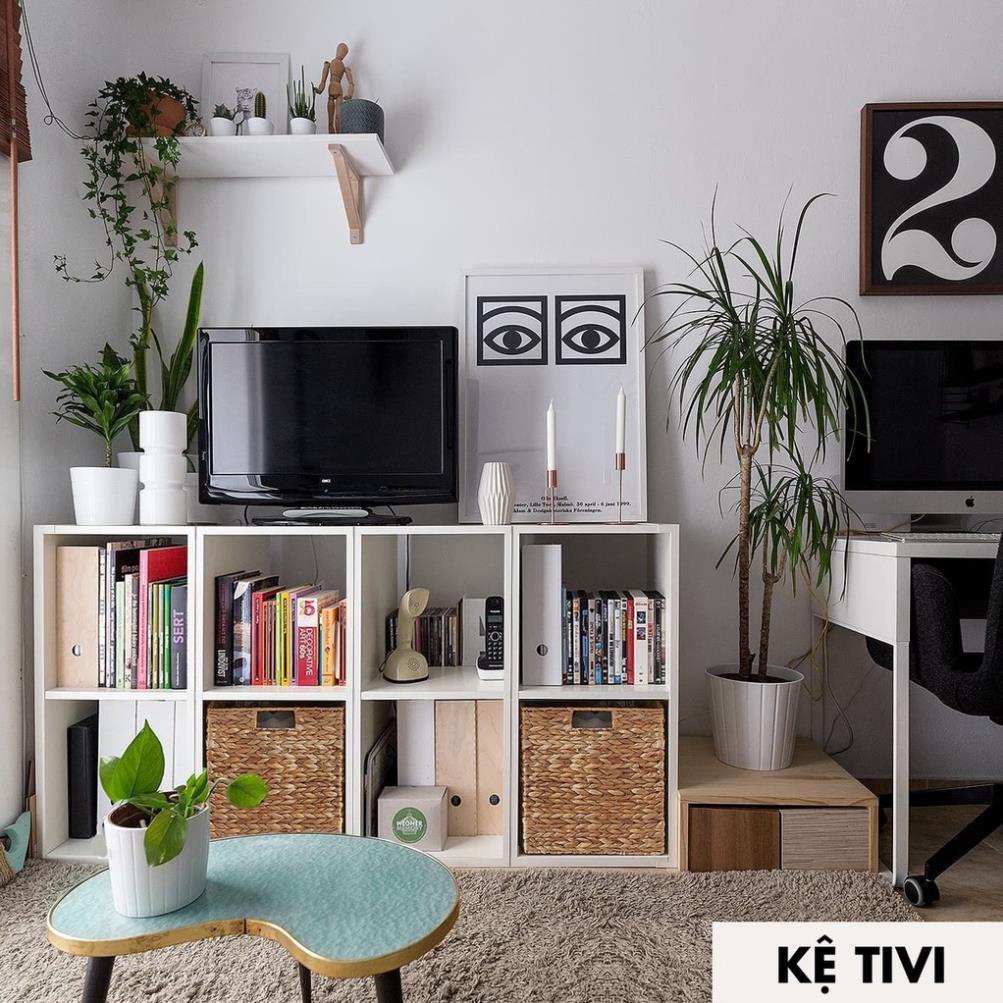 [FREE SHIP] [MUA 1 TẶNG 1] Kệ gỗ tổ ong đa năng, dung để trang trí, để đồ, treo tường kích thước đa dạng