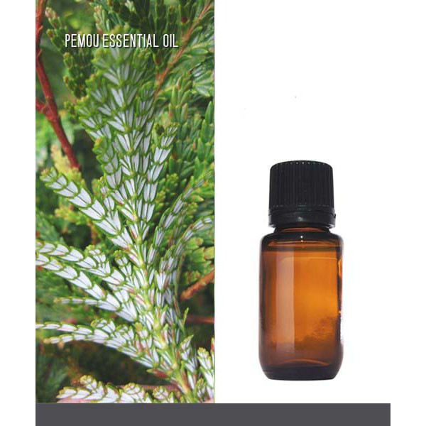 Tinh dầu pơ mu nguyên chất ( Pemou Essential oil ) GUTY