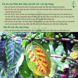 Phân Bón Lá Siêu Lân Đỏ Hà Lan