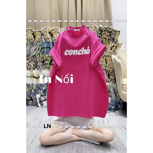 Áo phông chữ concho DA6