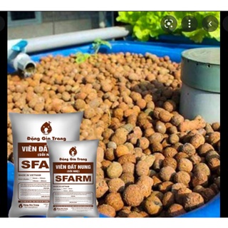 1kg viên đất nung, sỏi nhẹ đặng sfam đặng gia trang size từ 5-20mm trộn đất, lót đáy chậu,...