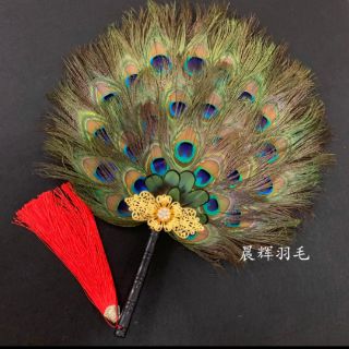 Quạt lông công mẫu lớn