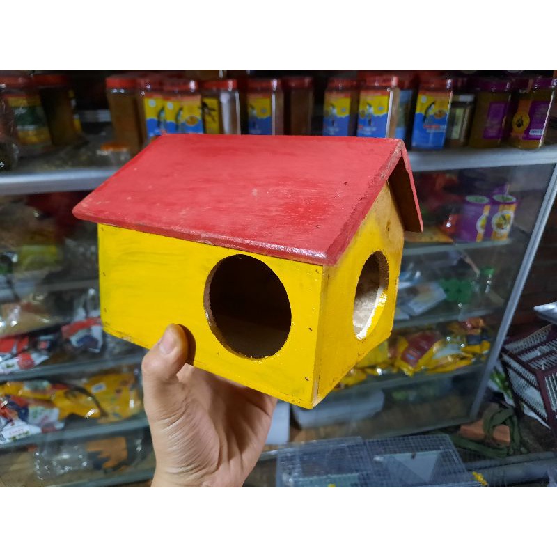 tổ đẻ chim yến phụng và dòng vẹt nhỏ