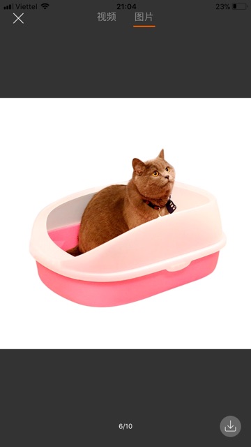 Khay vệ sinh +xẻng kute cho mèo