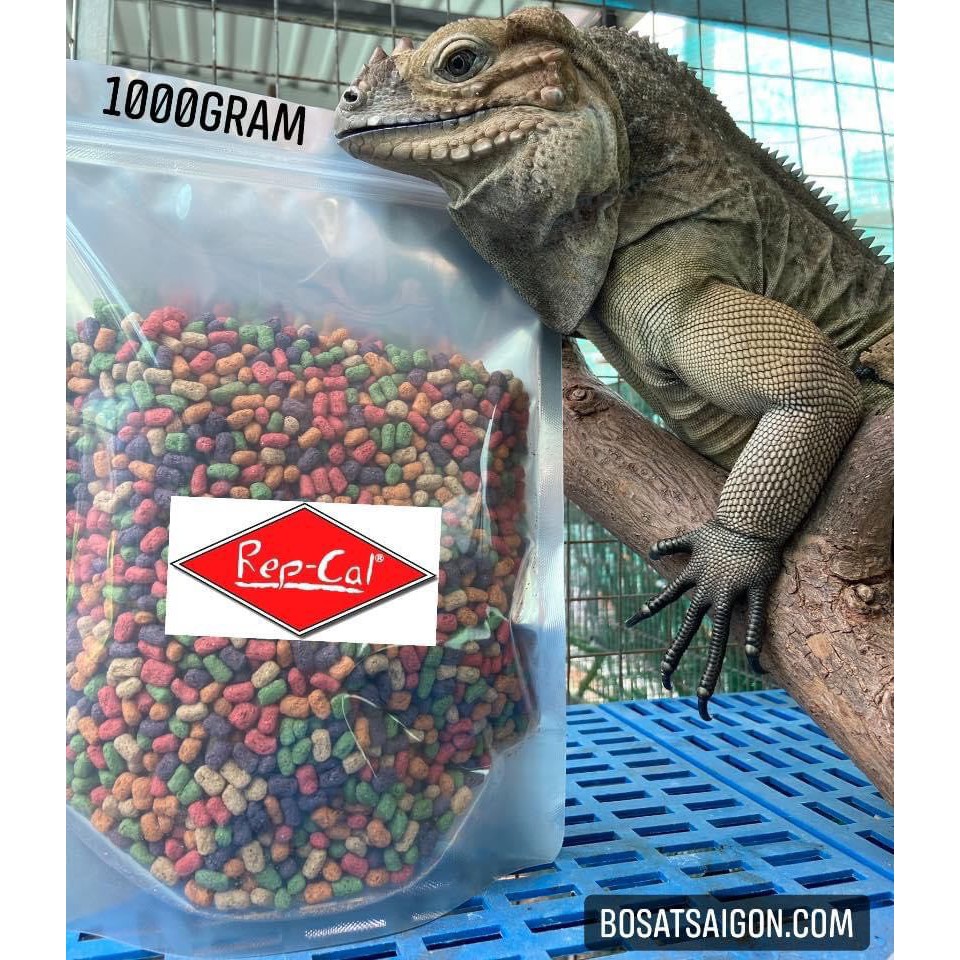 REPCAL HẠT LỚN DÀNH CHO IGUANA 1000G