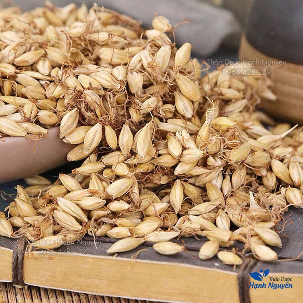 Mạch nha 100gr (Lúa Mạch)