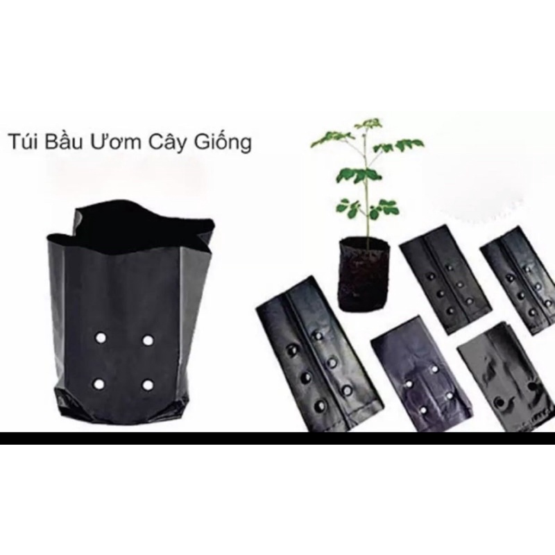 Sét 1kg túi ươm cây- số lượng nhiều( chọn  size)