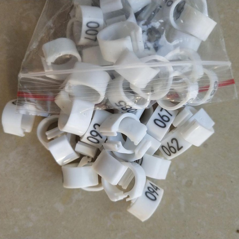 Set 50 Vòng Kẹp Số.001-050 8mm Hình Chim