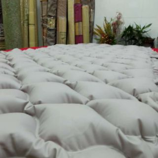 Đệm hơi dành cho bệnh nhân(freeship)