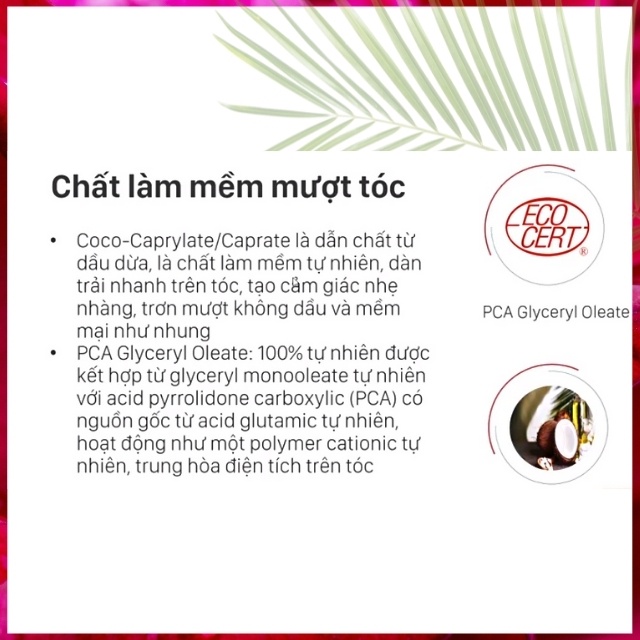 [BẢN CAO CẤP] Dầu Xả Tóc Tworld Conditioner Thiên Nhiên Lành Tính An Toàn Giúp Tóc Siêu Mượt, Giữ Ẩm, Dễ Tạo Kiểu, Khỏe