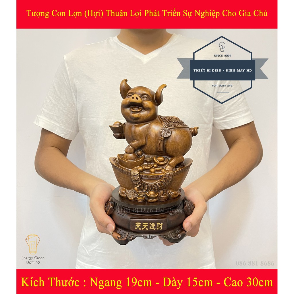 Tượng Con Lợn (Hợi) - Biểu Tượng Của Sự Sung Túc, Hạnh Phúc, Và Tài Chính Ổn Định, Công Việc Thăng Tiến