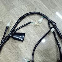Bộ dây điện xe Dream