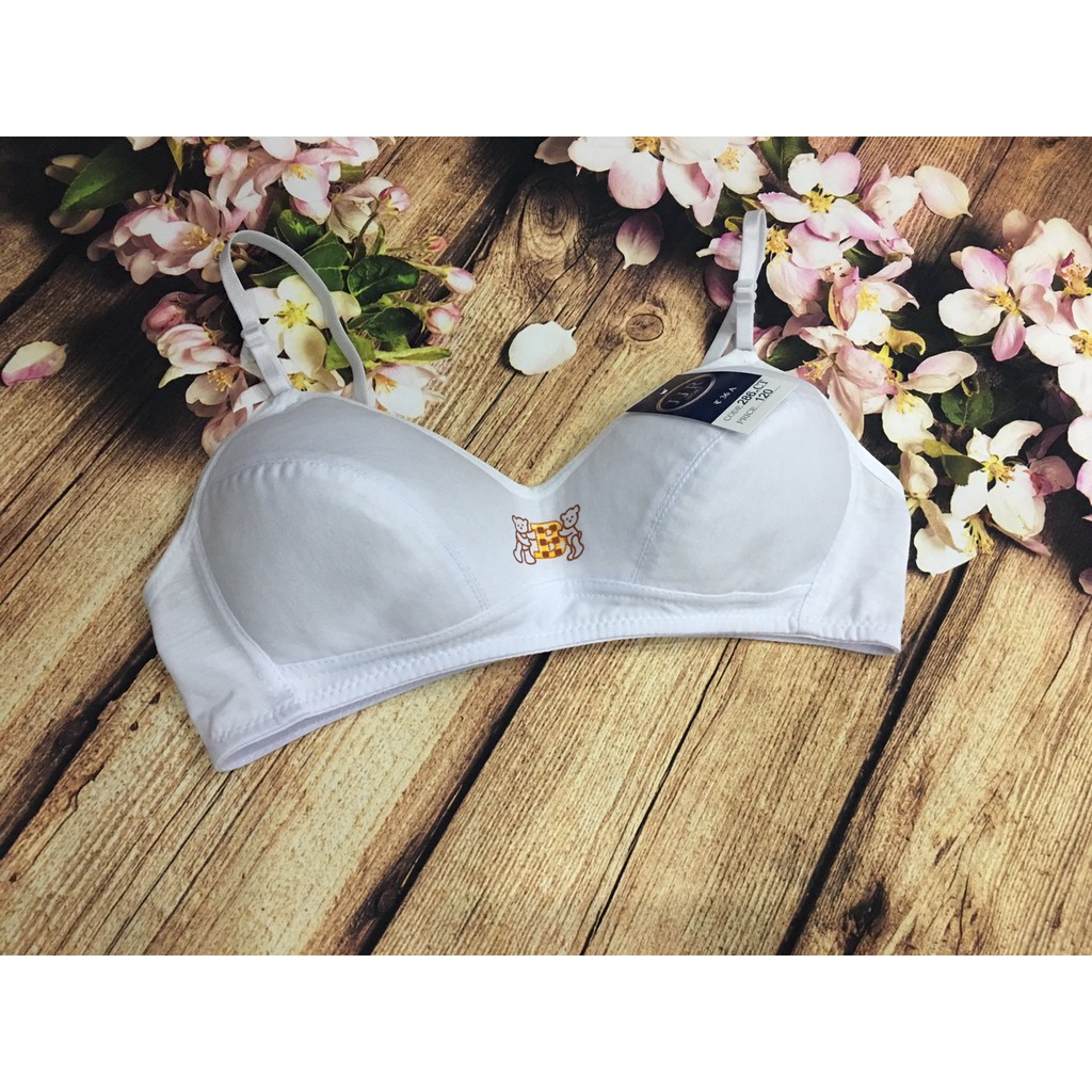 Áo lót nữ, áo lá gấu cài sau 2 móc 286