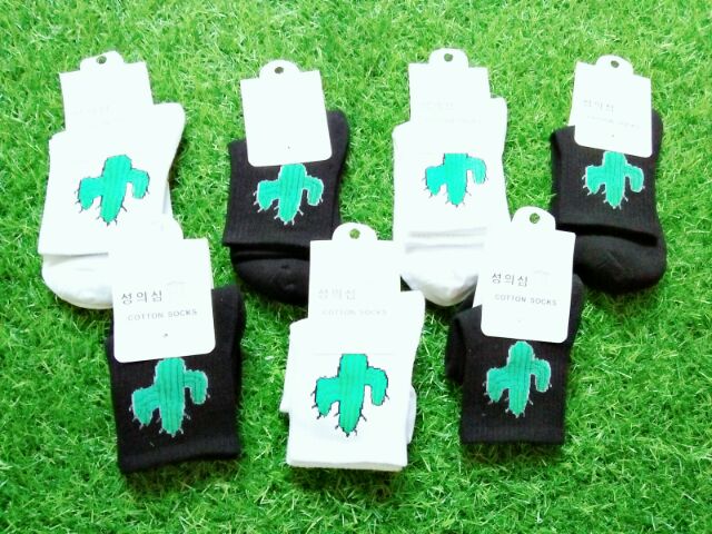 Combo của khách | BigBuy360 - bigbuy360.vn