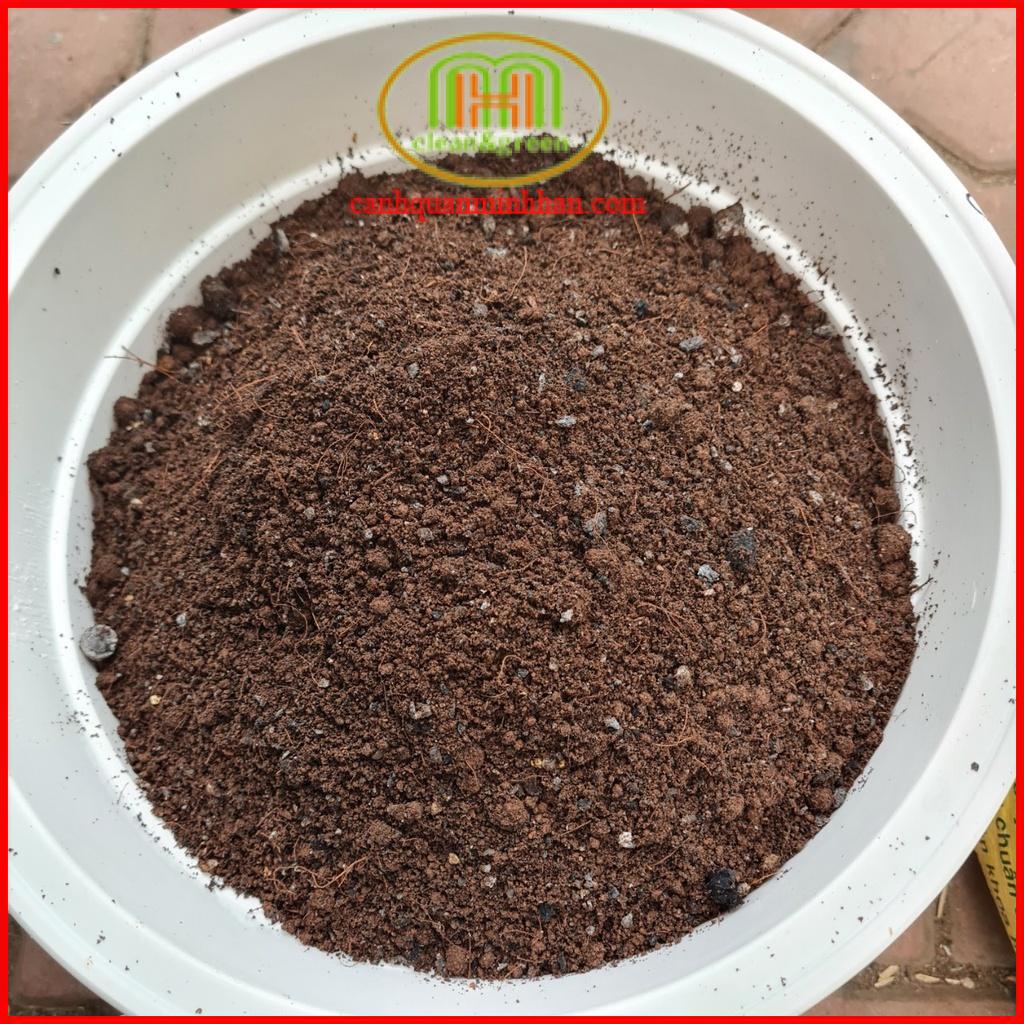 Đất vi sinh trồng cây rau ăn lá, củ, quả, rau gia vị 10kg